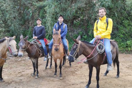 Tour a Caballo desde Guadalupe a Monserrate