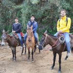 Photo of 3 people riding horses on their way to Monserrate