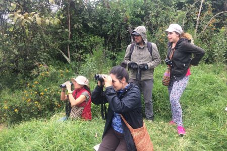 Avistamiento de Aves en el Parque Natural Chicaque