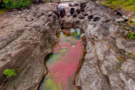 Caño Cristales 3-Day Tour with Flight Tickets