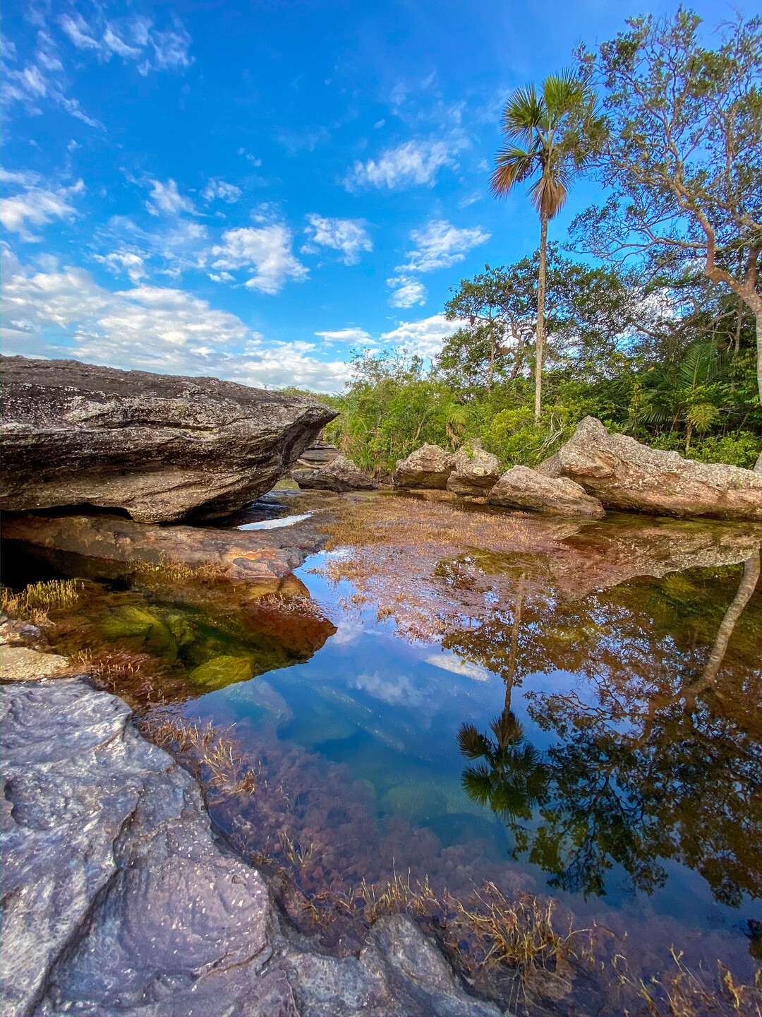 Caño Cristales 3-Day Tour with Flight Tickets