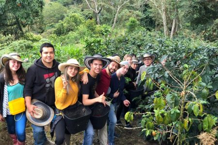 Cocora Valley, Salento and Coffee Farm Tour