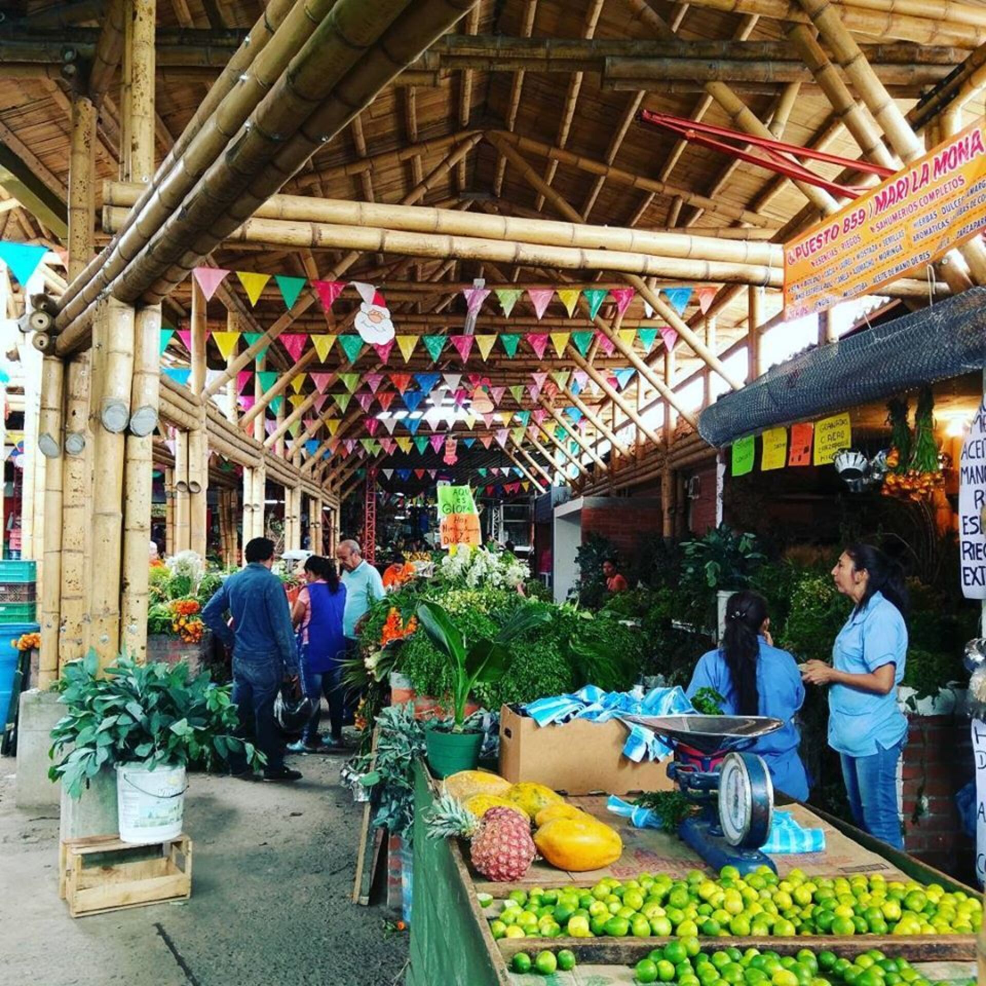 Food Tour in Alameda Market