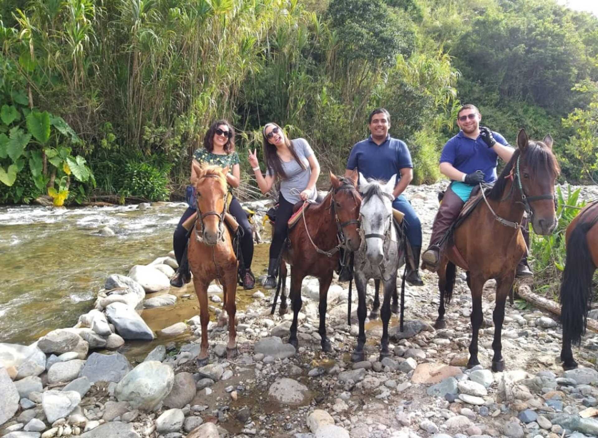 Tour Valle del Cocora, Salento y Recorrido a Caballo