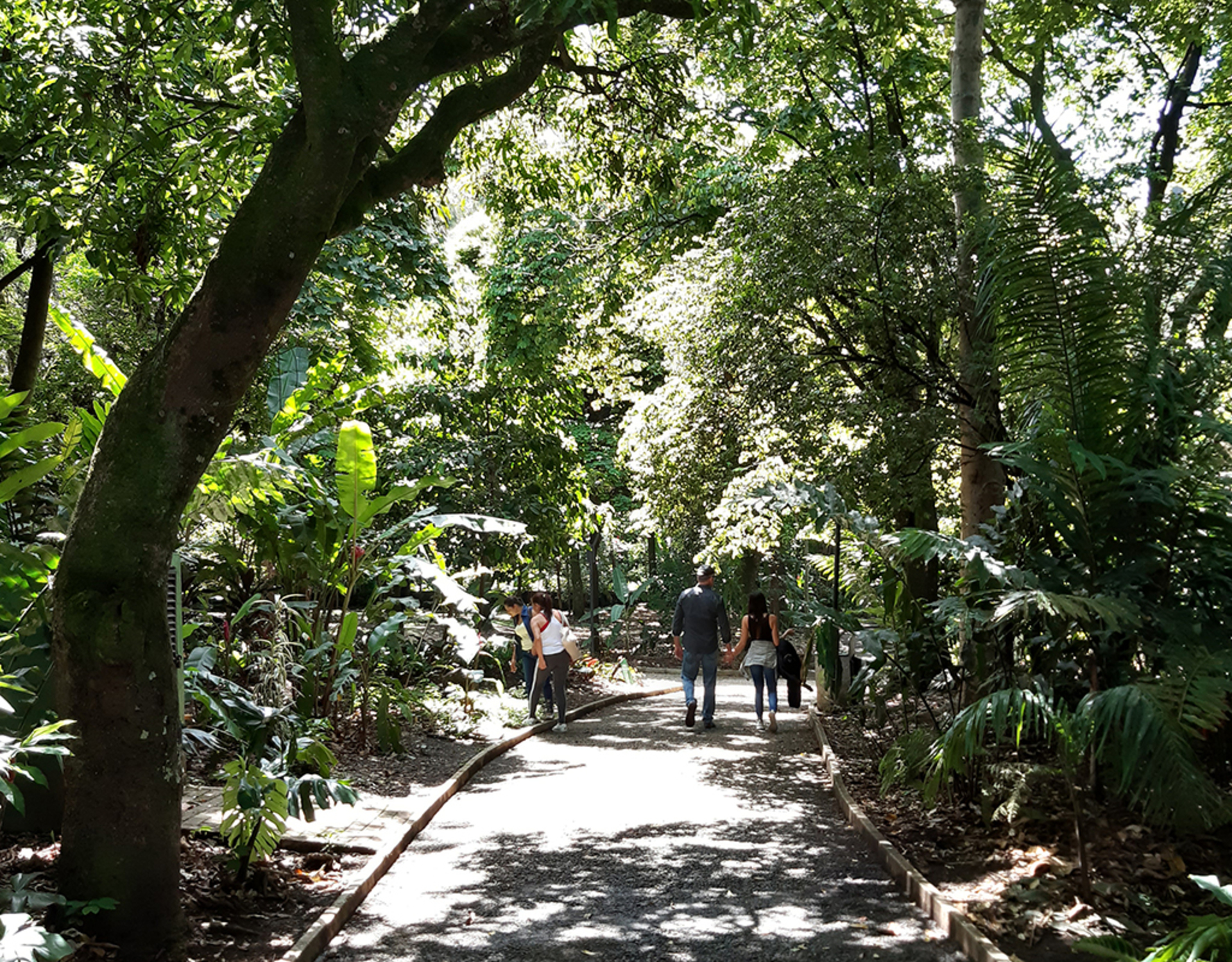 Botanical Garden & Comuna 4 Medellín City Tour