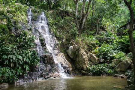Minca, Waterfalls & Coffee Farm Tour
