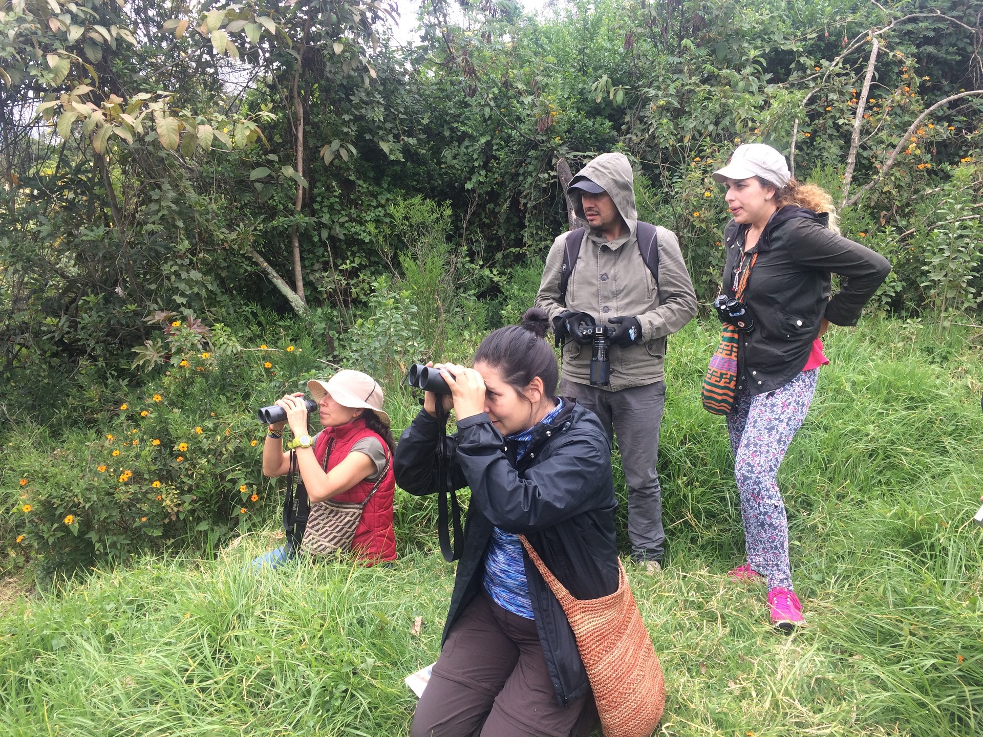 Birdwatching at Monserrate Bogotá