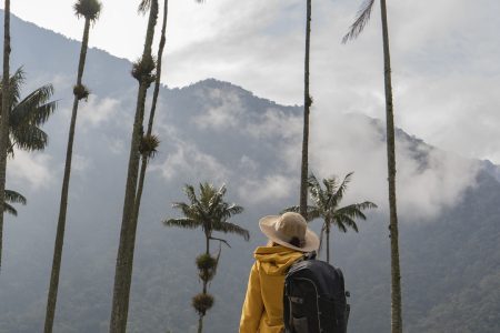 Cocora Valley and Salento Hike Tour