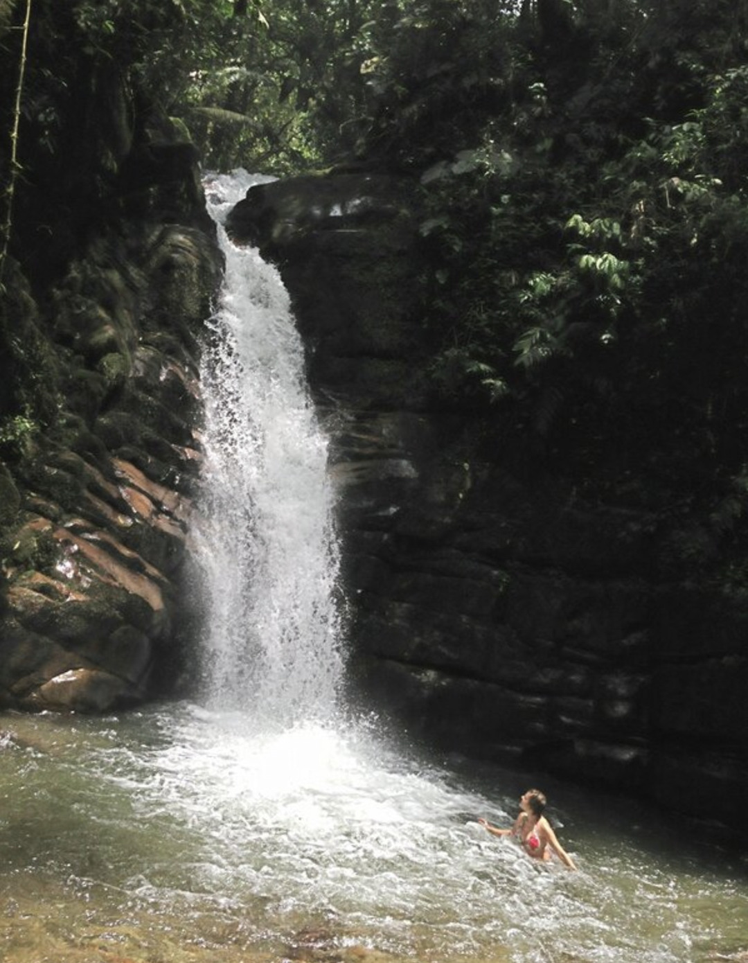 Santa Rita Waterfall Hike and Salento Tour