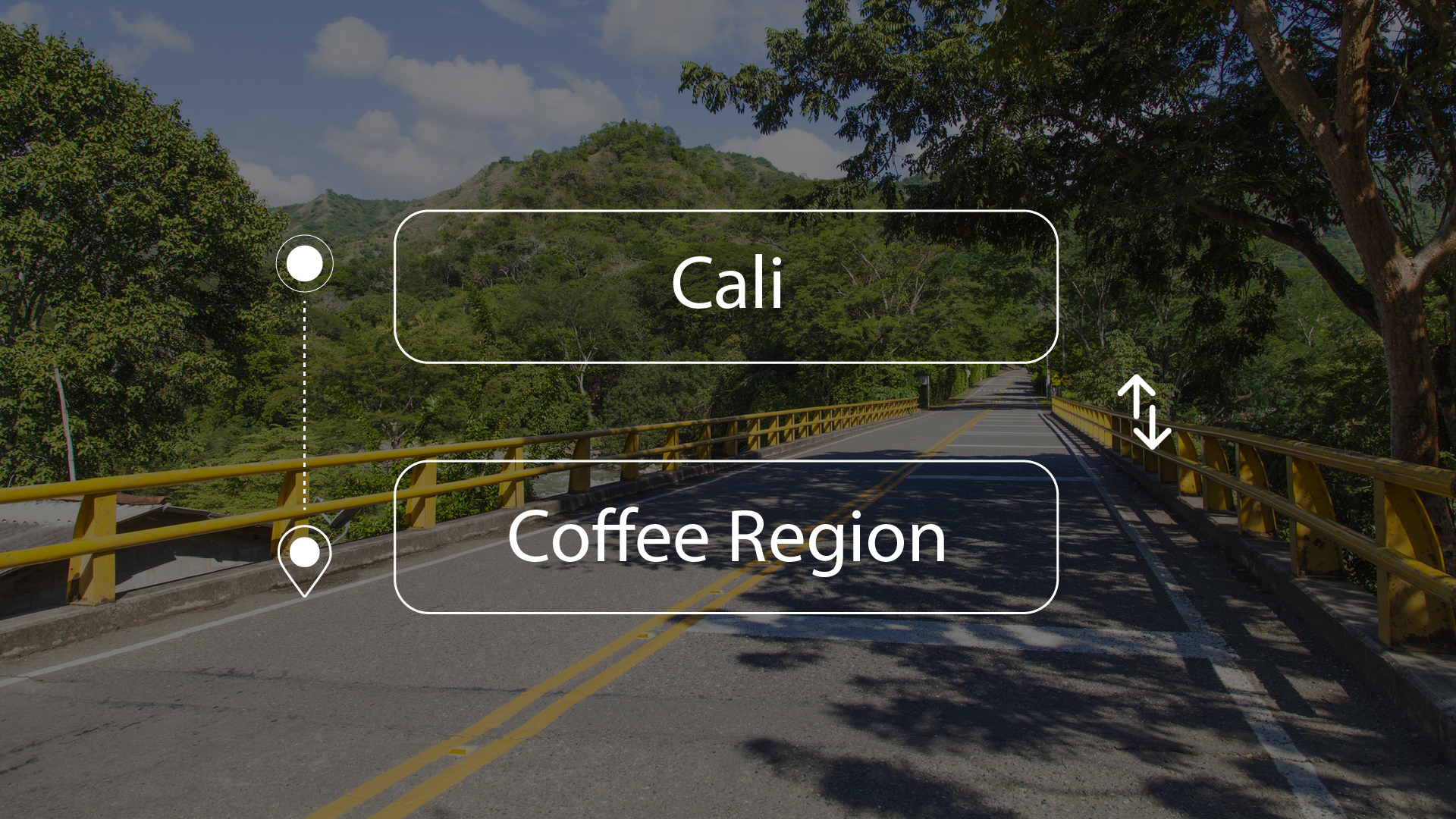 Cali to or from Coffee Region Private Transfer