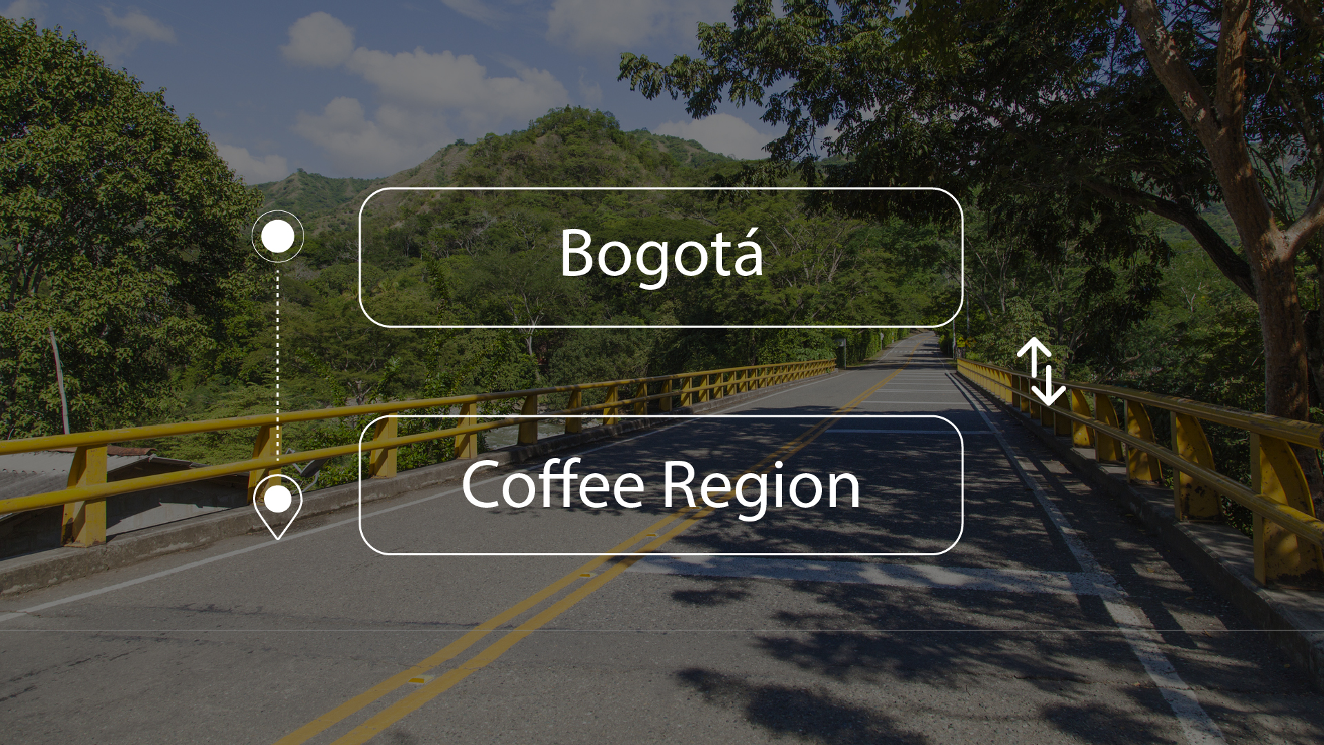 Bogotá to or from Coffee Region Private Transfer